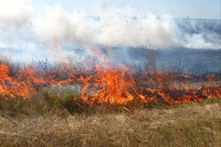 В Ужгородском районе произошел пожар на…