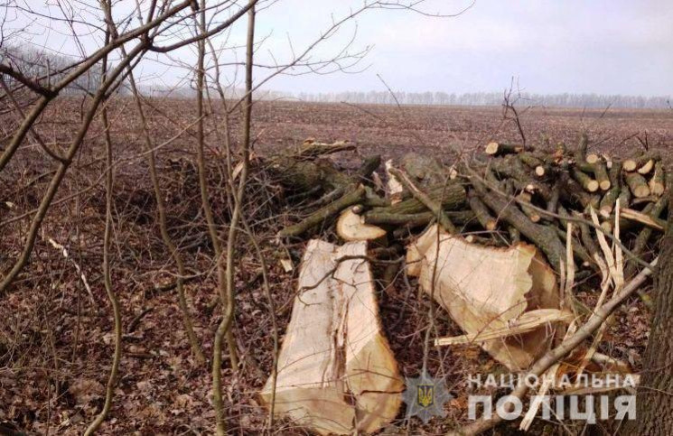 На Вінниччині завершили розслідування сп…