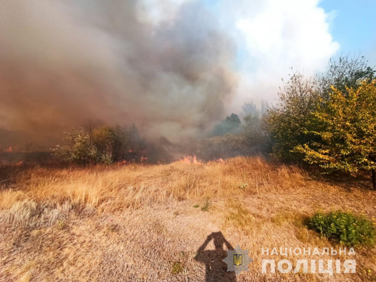 Масштабна лісова пожежа на Харківщині: П…