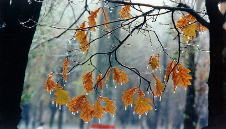 Прийшла осінь: На Хмельниччині 3 вересня…