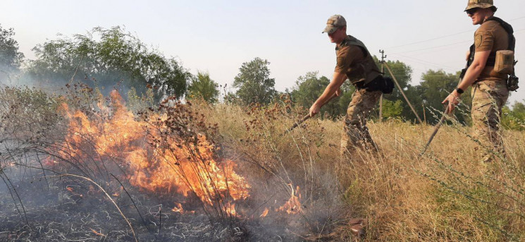 Луганщина горить: У селах пожежею пошкод…