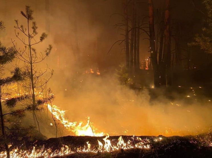 Масштабна лісова пожежа на Харківщині: Е…
