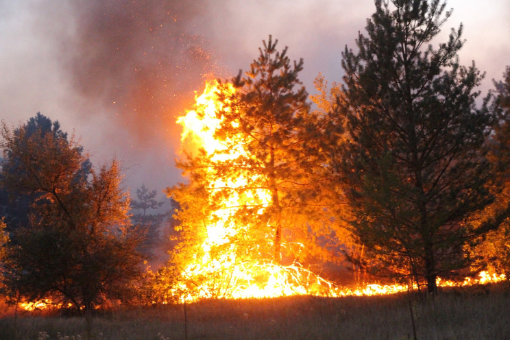 Пожежі на Луганщині: Досі палає 950 гект…