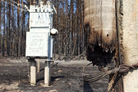 На Харківщині лісова пожежа знищила діля…