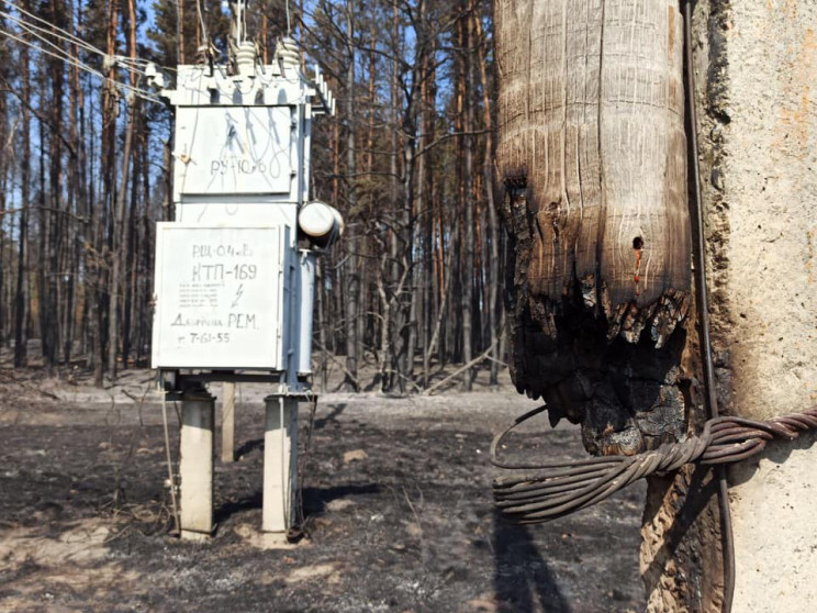 На Харьковщине лесной пожар уничтожил уч…