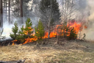 На Харківщині виявили ще одну лісову пож…