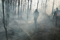 На Харьковщине ликвидировали лесной пожа…