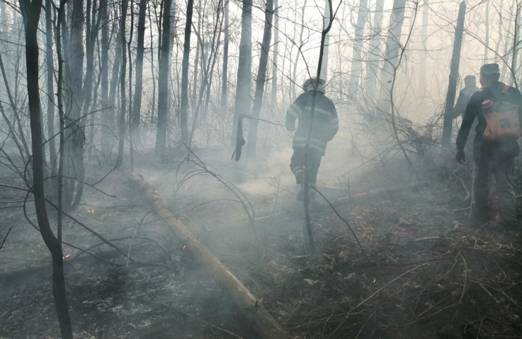 На Харківщині ліквідували лісову пожежу,…