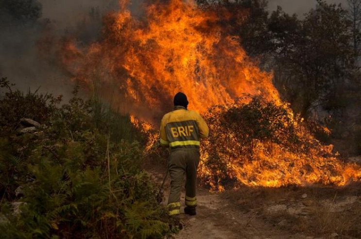 В США лесные пожары уничтожили около 1,8…