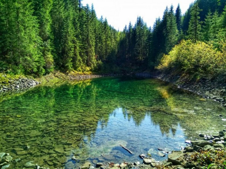 Річки Прикарпаття є одними з найчистіших…