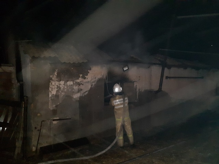 У Криму нічна пожежа на фермі знищила 50…