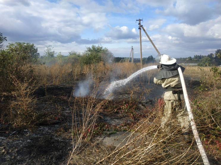 На Харківщині сталася пожежа, вигоріло б…