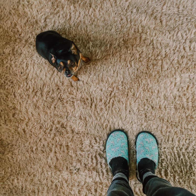 Як почистити килим вдома: Прості способи…