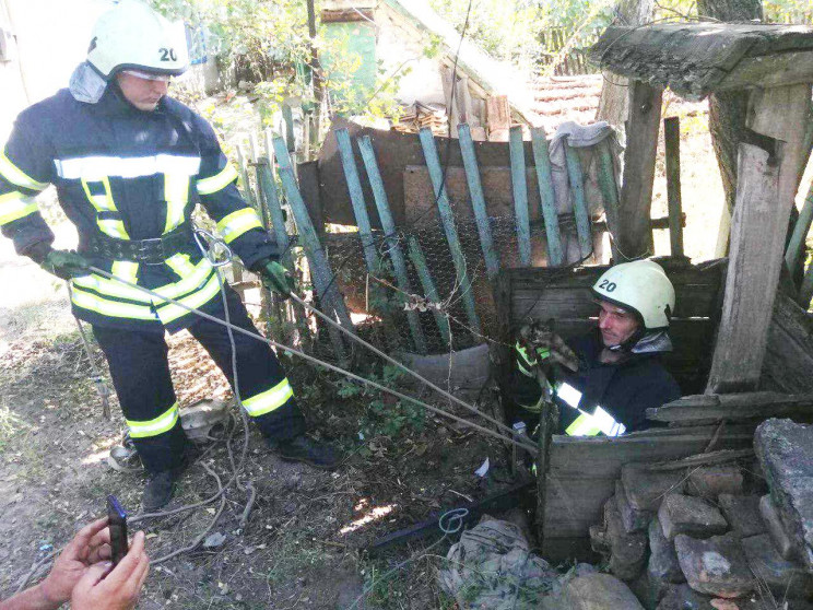 В Запорожской области пожарные спасли ко…