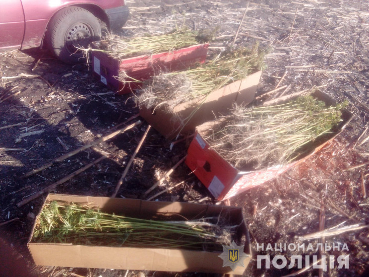 На Харківщині поліція шукає фермера, яки…