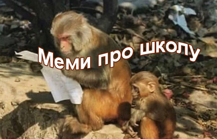 Меми про школу: Як у соцмережах жартують…