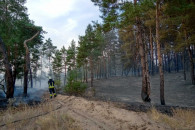 На Луганщині знову зайнявся ліс: Рятувал…