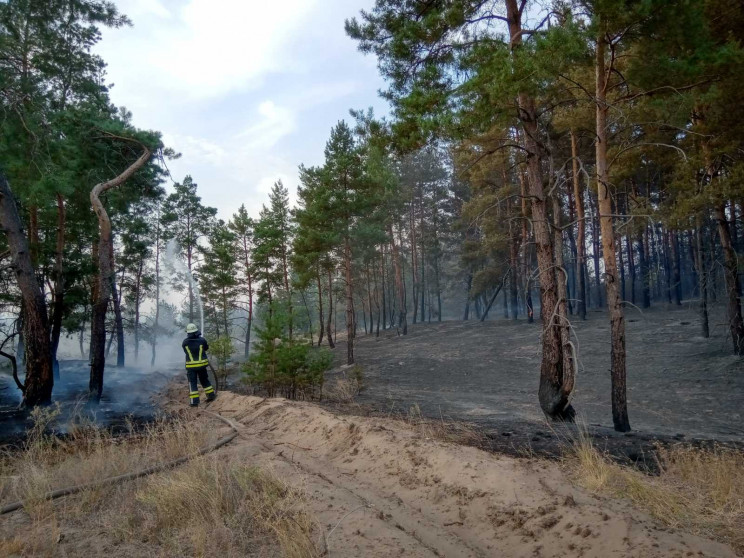 На Луганщині знову зайнявся ліс: Рятувал…