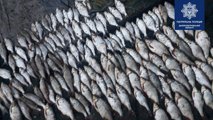 В Днепре рыбаки-браконьеры привели полиц…