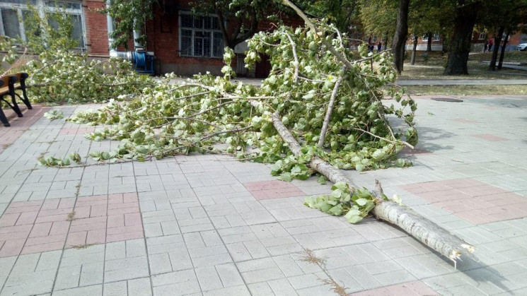 У Харківському політеху на дівчину впала…