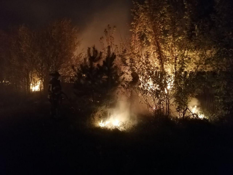 Пожежі на Луганщині: Вогнем охоплено пон…