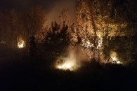 Пожежі на Луганщині: Евакуйованих людей…