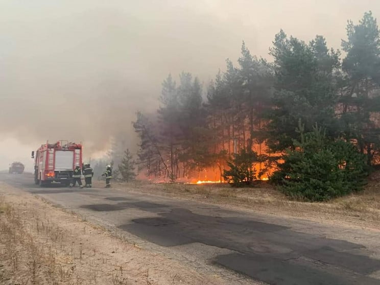 На Луганщині у масштабних пожежах загину…