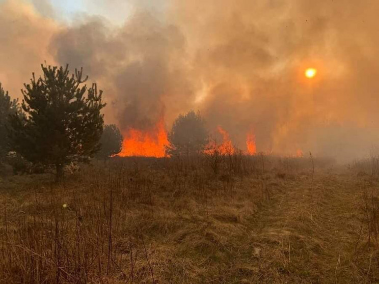 На Донеччині вигоріло 12 гектарів лісу у…