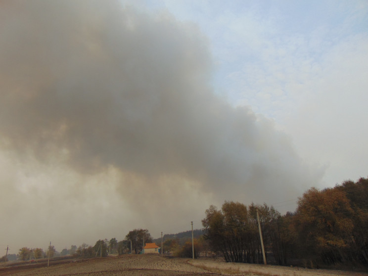 Пожежі на Донбасі тривають: У ДСНС розпо…