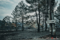 В мережі показали згорілі селища Луганщи…