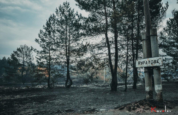 В сети показали сгоревшие поселки Луганщ…