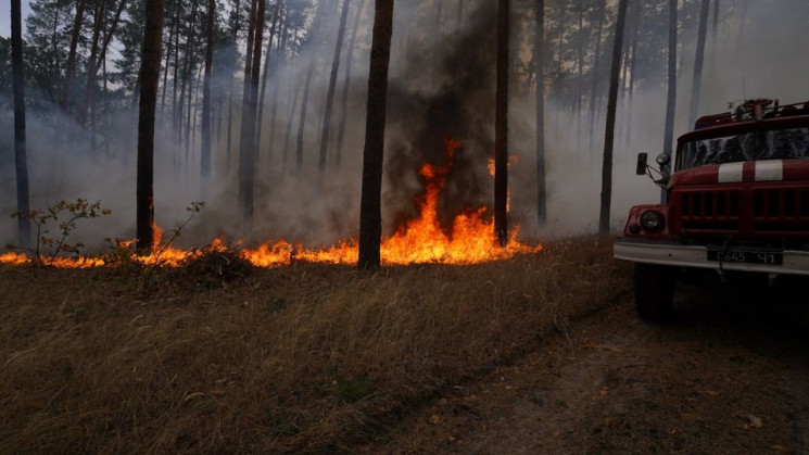 Лісові пожежі на Луганщині: Рятувальники…