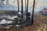 Площа лісових пожеж на Луганщині перевищ…