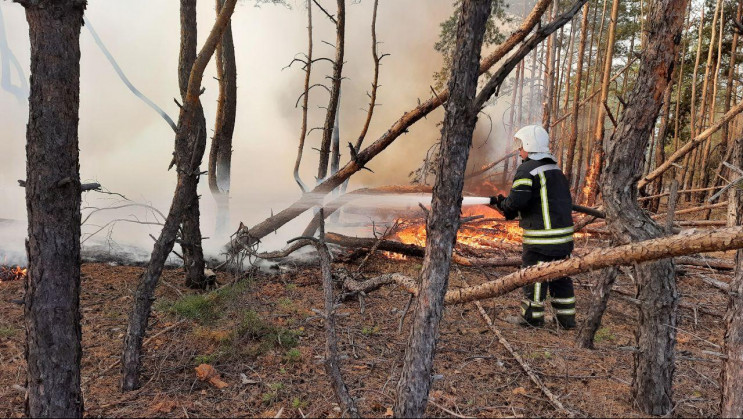 Луганщина: За вихідні рятувальникам вдал…