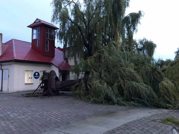 В Ивано-Франковске разрушительная буря п…