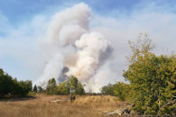На Харьковщине — масштабный лесной пожар…