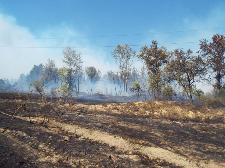 На Луганщині вогонь наближається до замі…