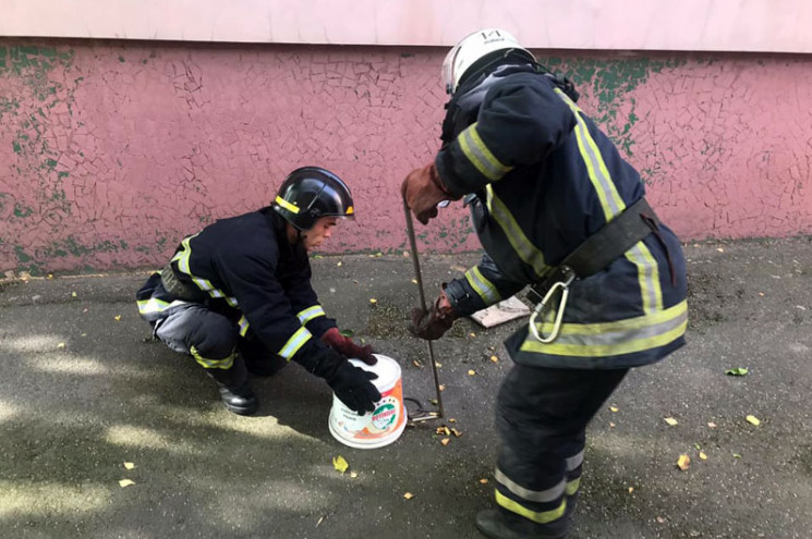 На Дніпропетровщині метрова змія переляк…