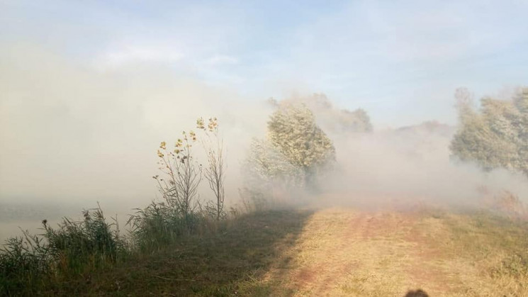 На Харківщині загасили дві пожежі на кор…
