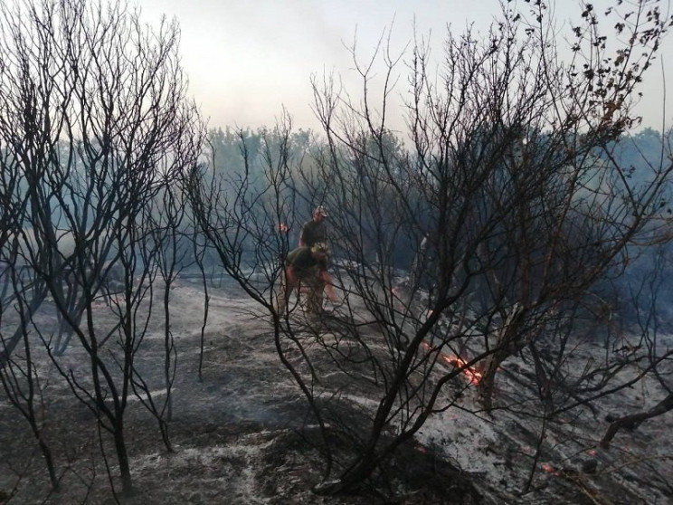 Пожары в зоне ООС на Луганщине: Зачем бо…