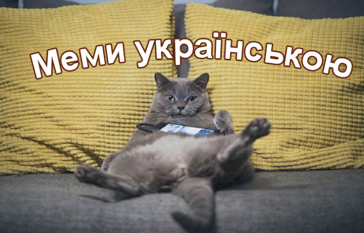 Котики и прокрастинация: Лучшие мемы-202…