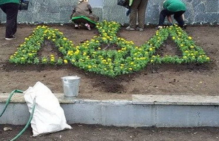 В столице Западного Донбасса высадили цв…