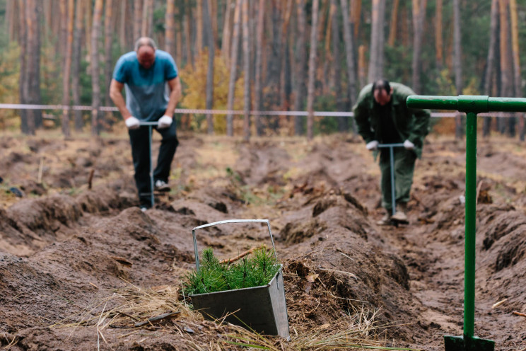 На Харківщині за день висадили 40 тисяч…