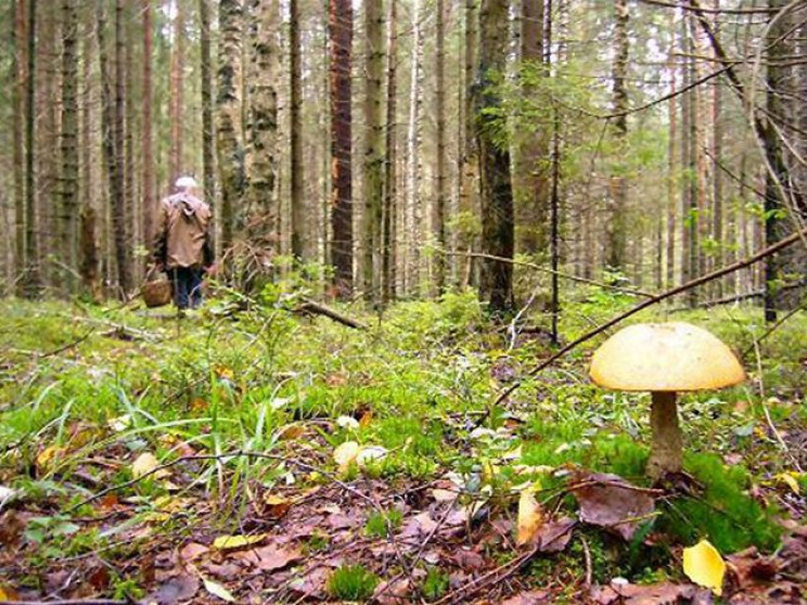 Майже добу шукали жительку Хмельниччини…