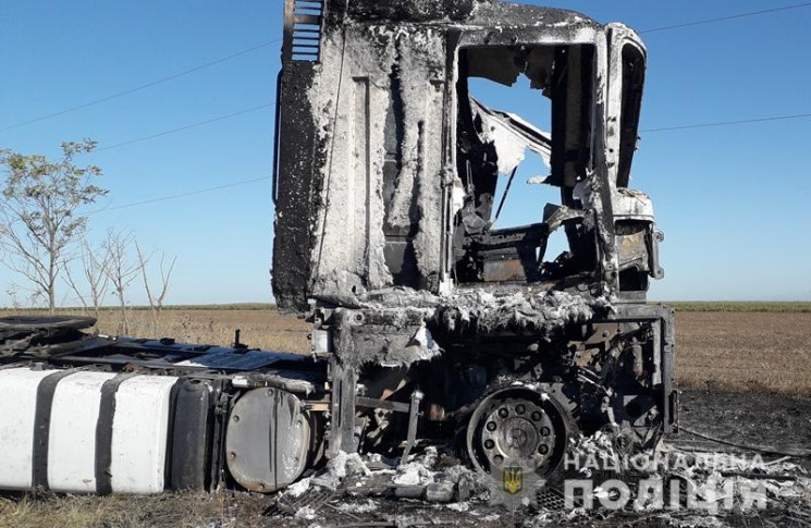 В Одесской области злоумышленники напали…