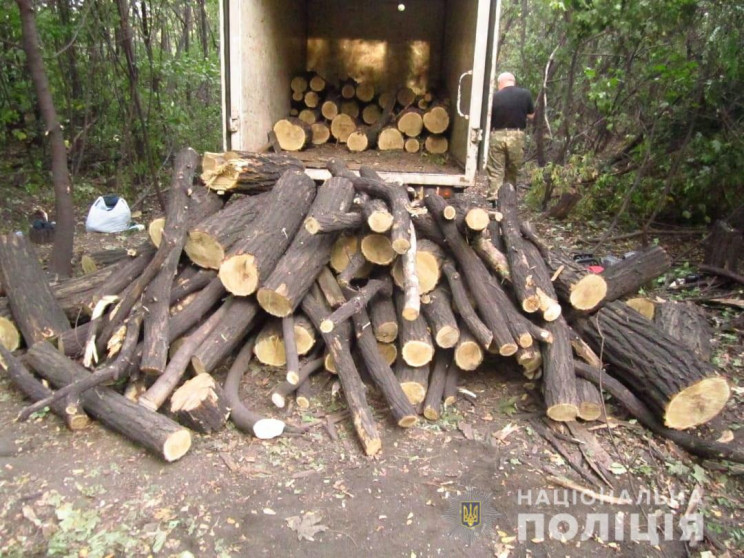 В Кривом Роге задержали лесного браконье…