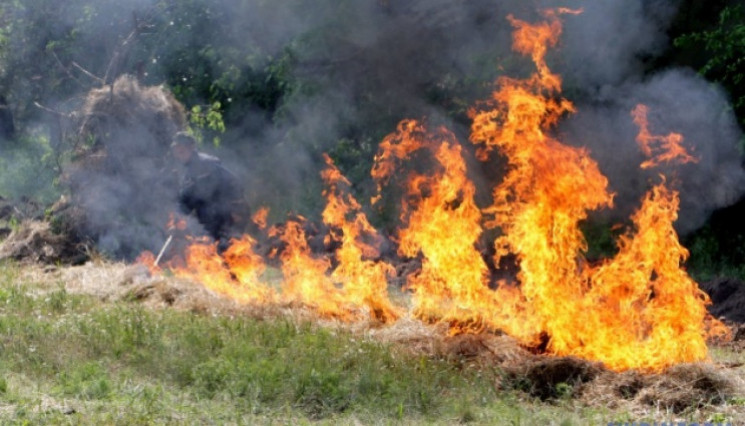 В Крыму объявлена чрезвычайная пожарная…