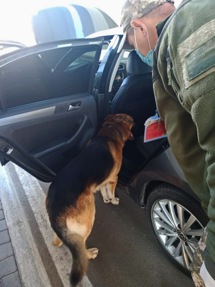 Херсонские пограничники поймали мужчину,…