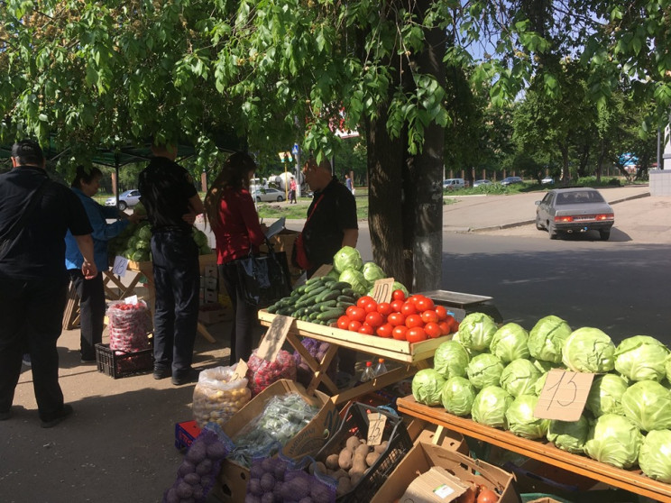 У Кропивницькому муніципальний патруль г…