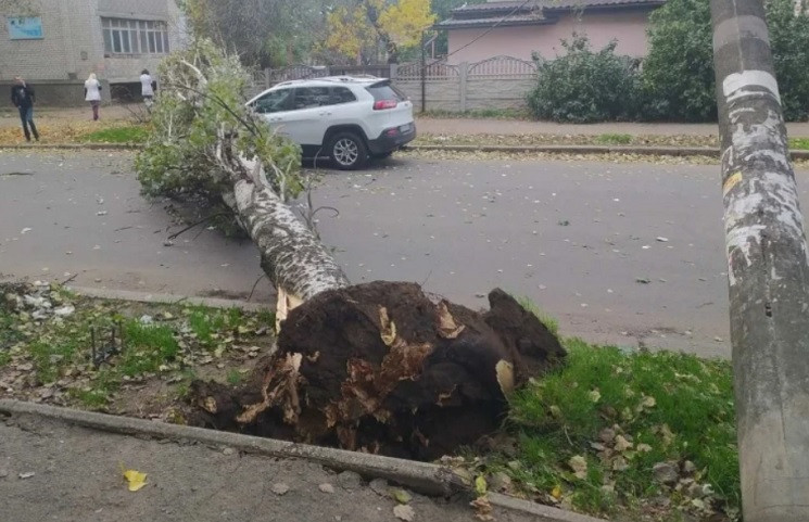В Николаеве упало дерево и повалило элек…